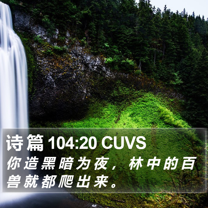 诗 篇 104:20 CUVS Bible Study