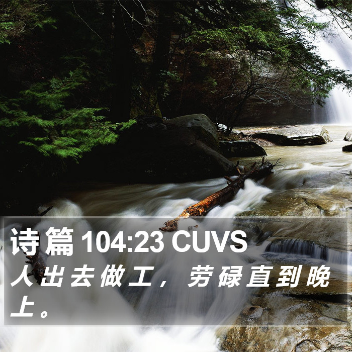 诗 篇 104:23 CUVS Bible Study