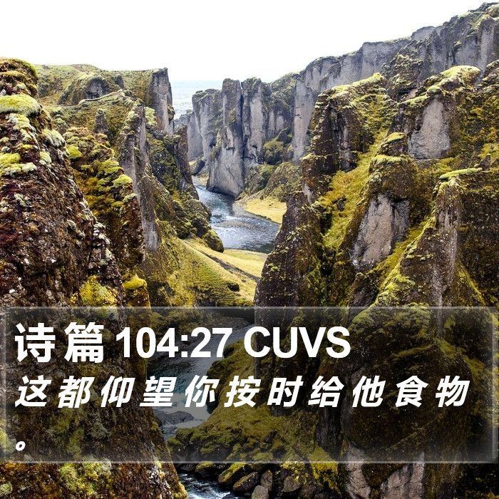 诗 篇 104:27 CUVS Bible Study