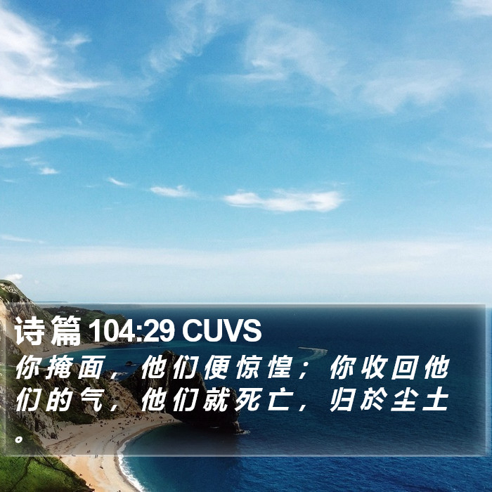 诗 篇 104:29 CUVS Bible Study