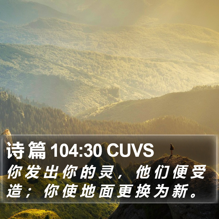 诗 篇 104:30 CUVS Bible Study