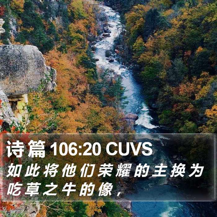 诗 篇 106:20 CUVS Bible Study