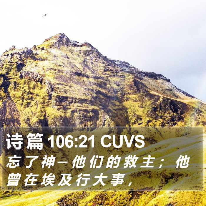诗 篇 106:21 CUVS Bible Study