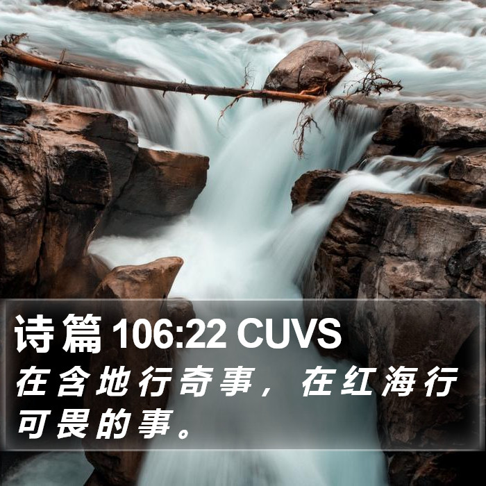诗 篇 106:22 CUVS Bible Study