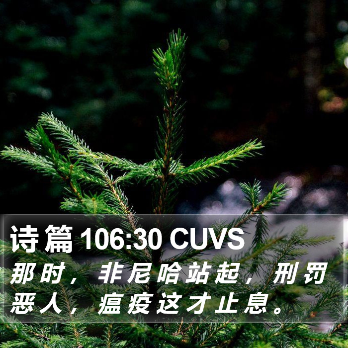诗 篇 106:30 CUVS Bible Study