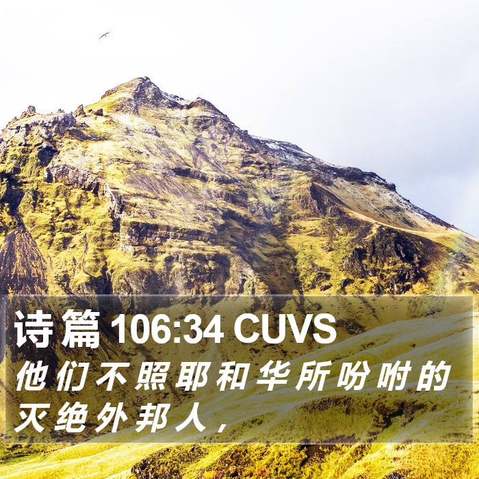 诗 篇 106:34 CUVS Bible Study