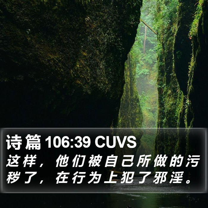 诗 篇 106:39 CUVS Bible Study
