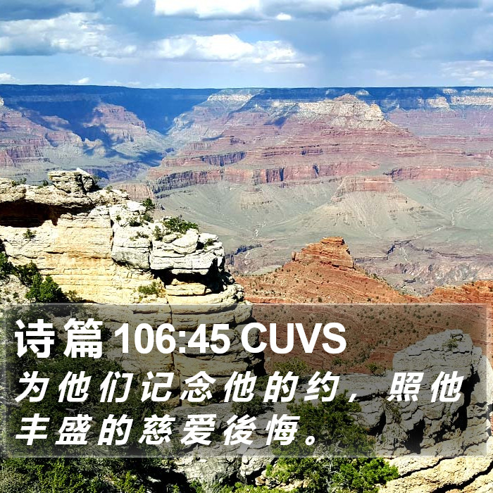 诗 篇 106:45 CUVS Bible Study