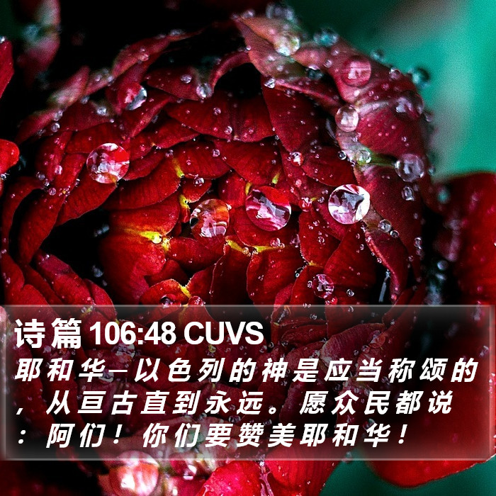 诗 篇 106:48 CUVS Bible Study