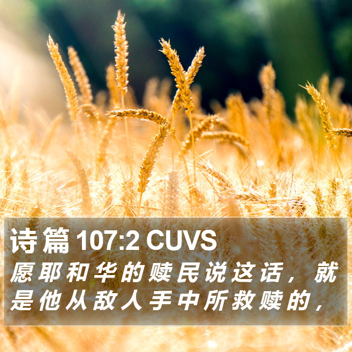 诗 篇 107:2 CUVS Bible Study
