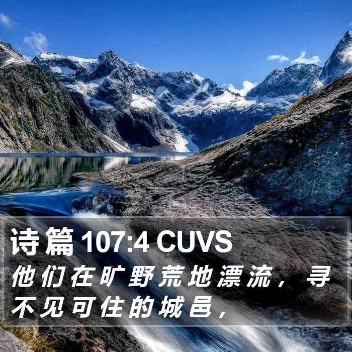 诗 篇 107:4 CUVS Bible Study