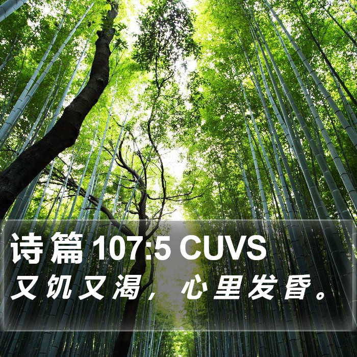 诗 篇 107:5 CUVS Bible Study