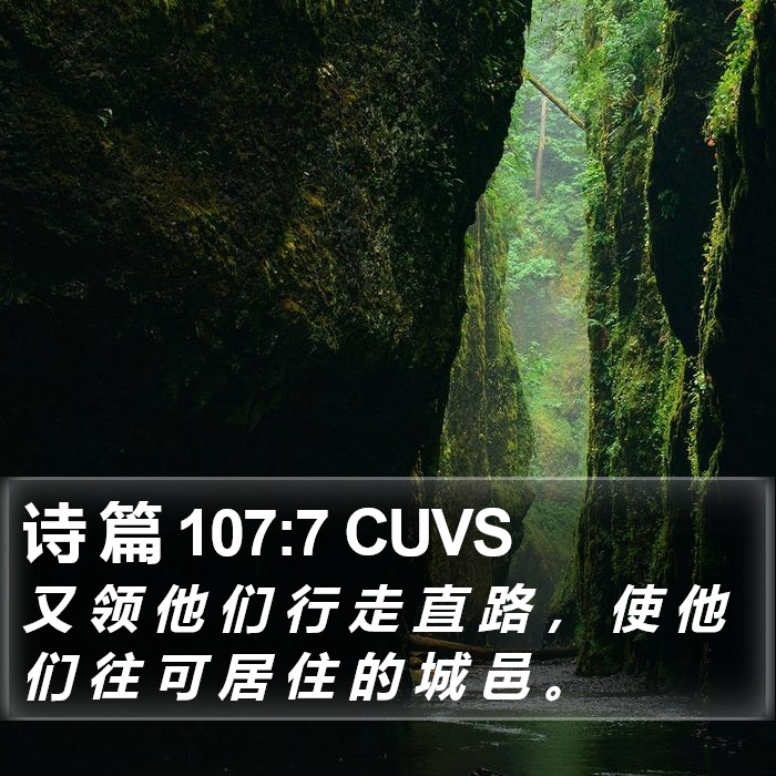 诗 篇 107:7 CUVS Bible Study