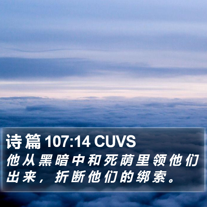 诗 篇 107:14 CUVS Bible Study