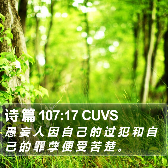 诗 篇 107:17 CUVS Bible Study