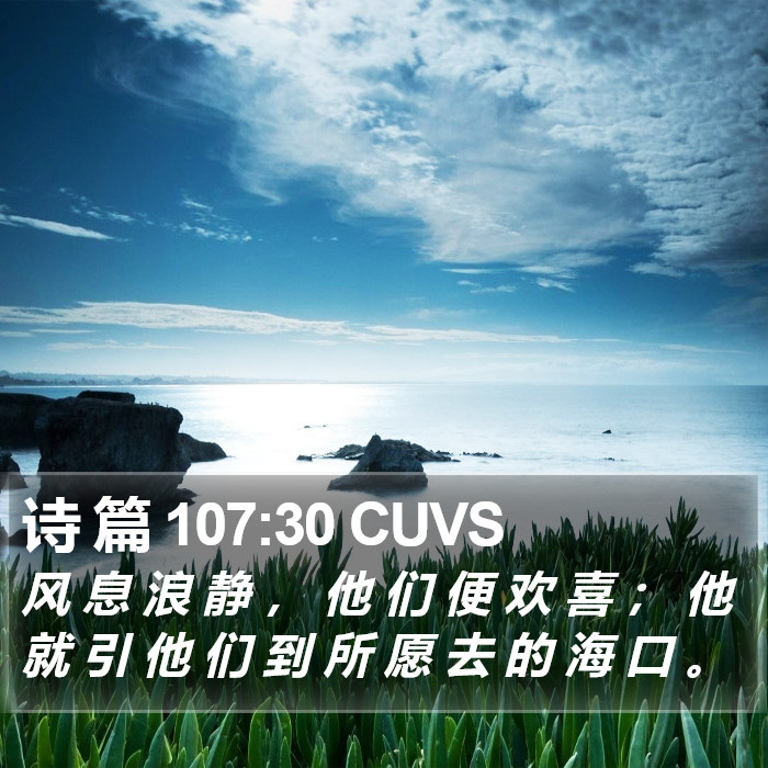 诗 篇 107:30 CUVS Bible Study