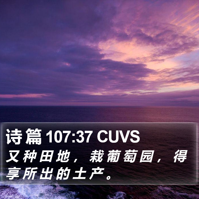 诗 篇 107:37 CUVS Bible Study