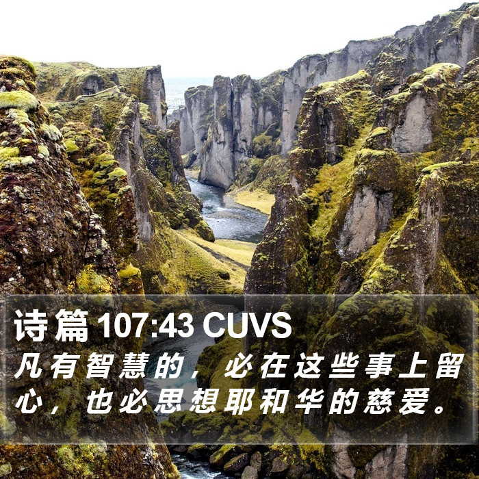 诗 篇 107:43 CUVS Bible Study