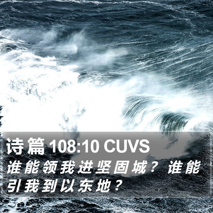 诗 篇 108:10 CUVS Bible Study