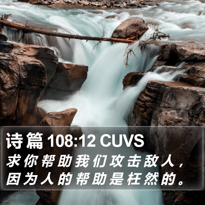 诗 篇 108:12 CUVS Bible Study