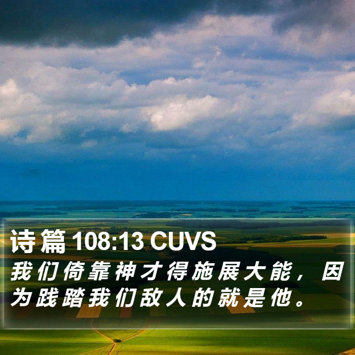 诗 篇 108:13 CUVS Bible Study