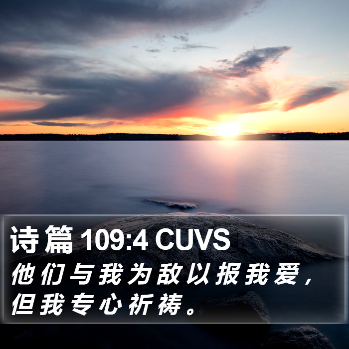 诗 篇 109:4 CUVS Bible Study