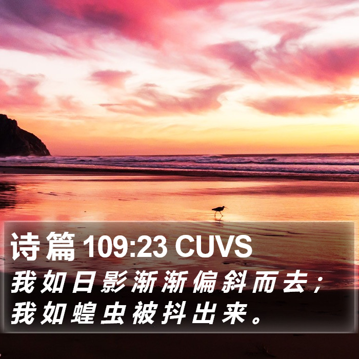 诗 篇 109:23 CUVS Bible Study