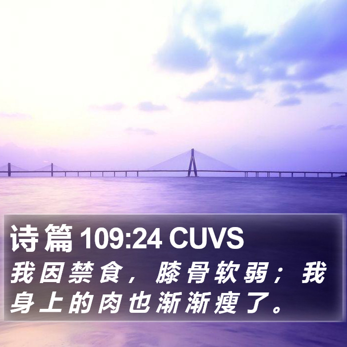 诗 篇 109:24 CUVS Bible Study