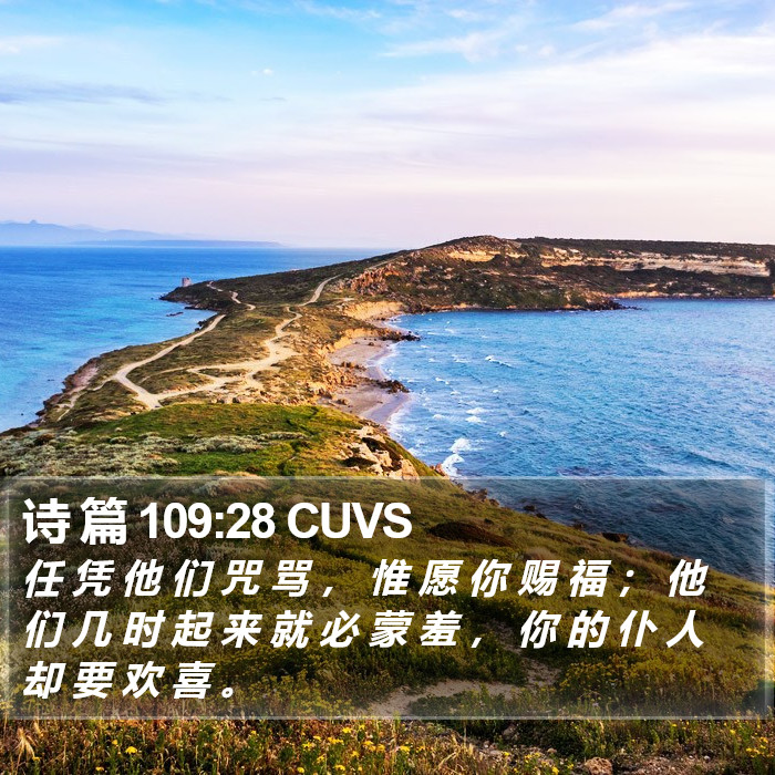 诗 篇 109:28 CUVS Bible Study