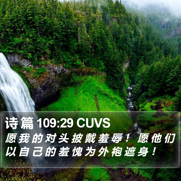 诗 篇 109:29 CUVS Bible Study