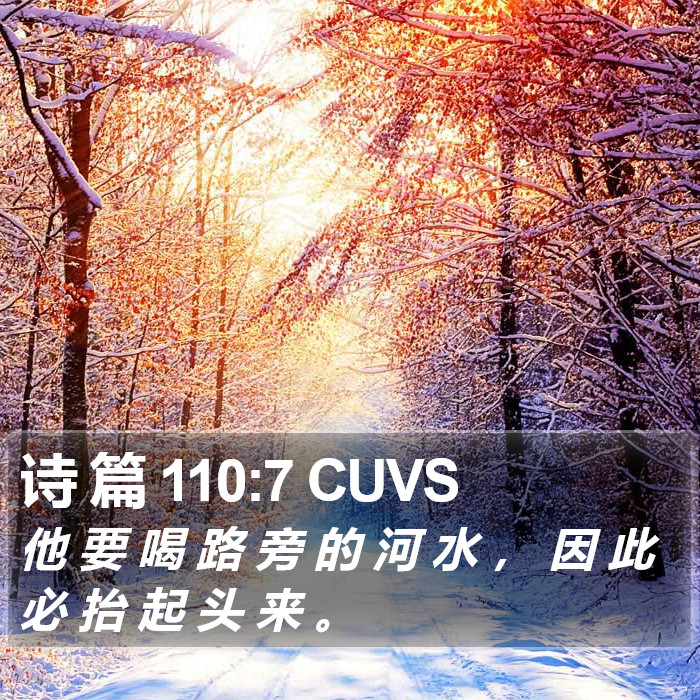诗 篇 110:7 CUVS Bible Study