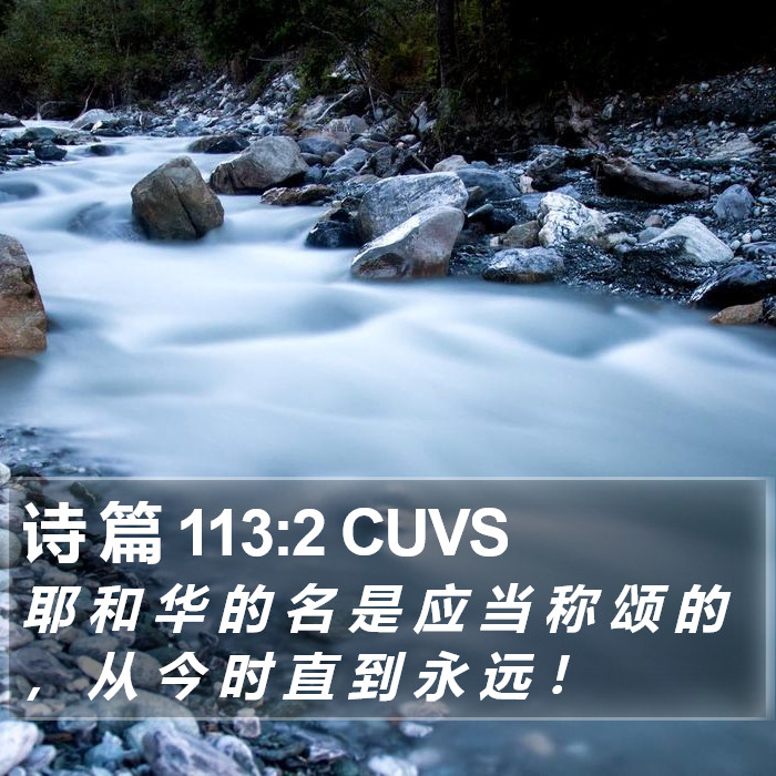 诗 篇 113:2 CUVS Bible Study