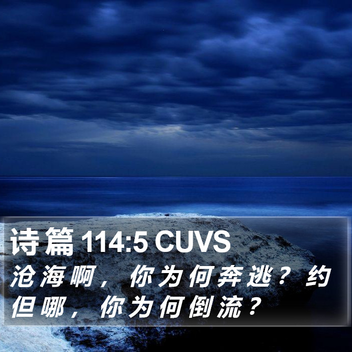 诗 篇 114:5 CUVS Bible Study