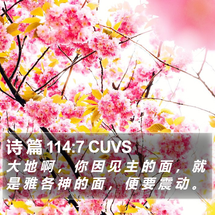 诗 篇 114:7 CUVS Bible Study