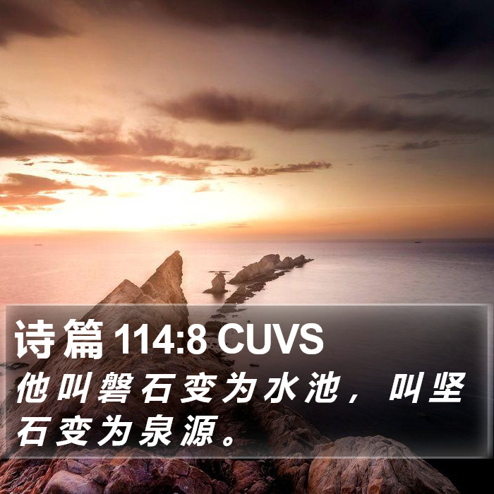 诗 篇 114:8 CUVS Bible Study