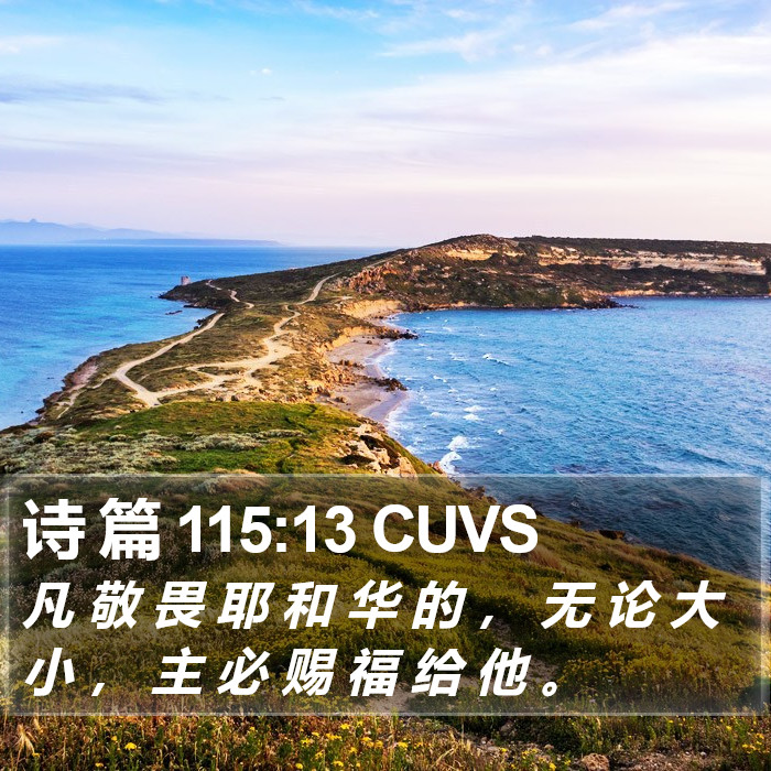 诗 篇 115:13 CUVS Bible Study