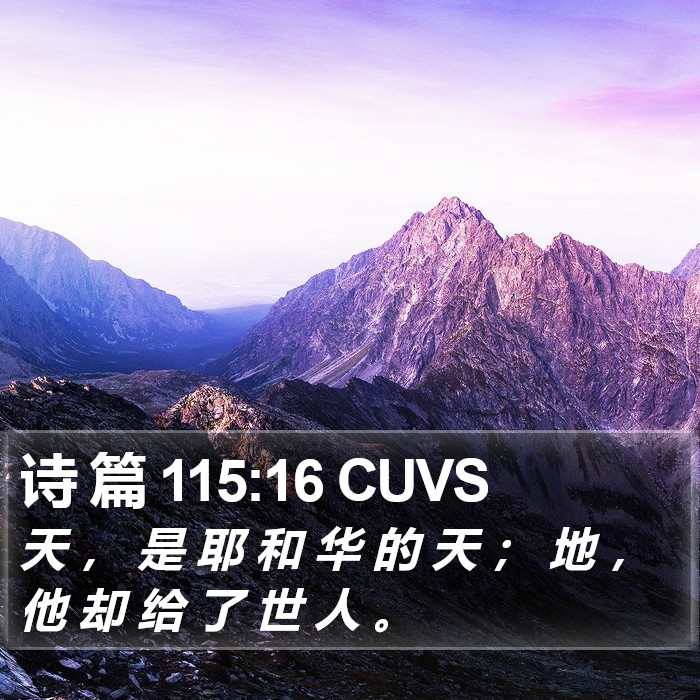 诗 篇 115:16 CUVS Bible Study