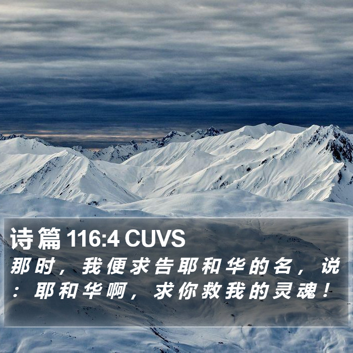 诗 篇 116:4 CUVS Bible Study