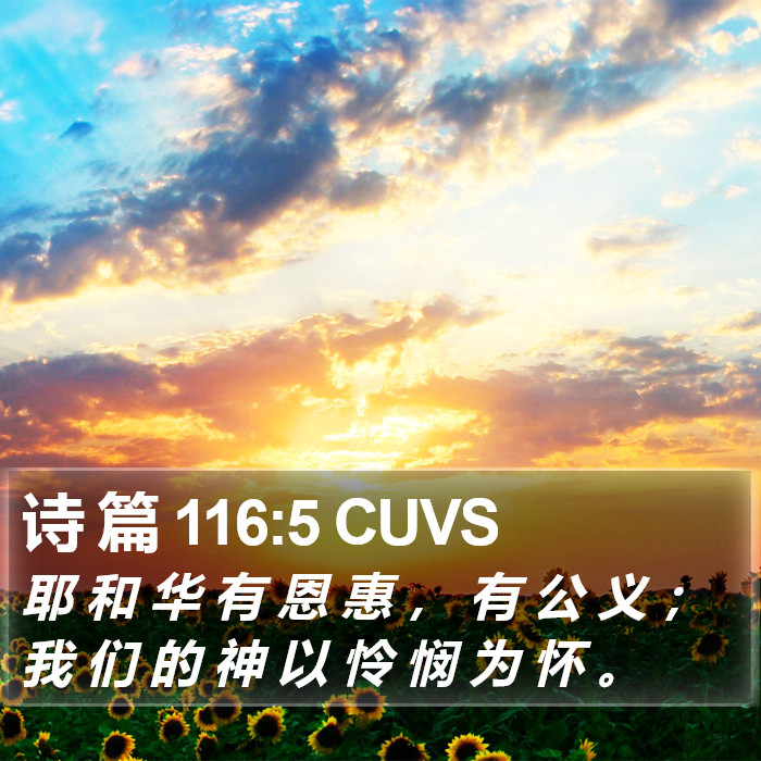 诗 篇 116:5 CUVS Bible Study