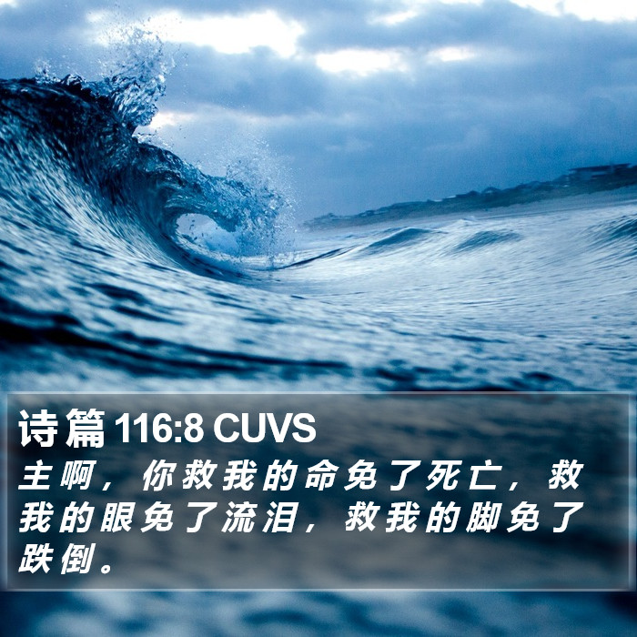 诗 篇 116:8 CUVS Bible Study