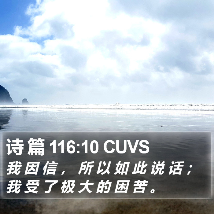 诗 篇 116:10 CUVS Bible Study
