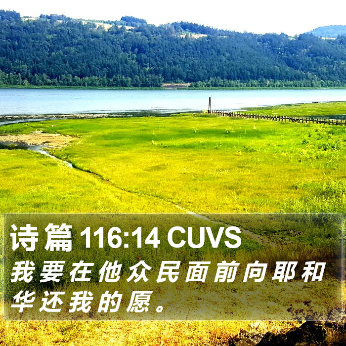 诗 篇 116:14 CUVS Bible Study