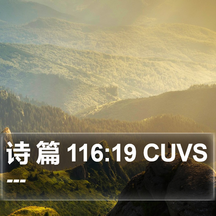 诗 篇 116:19 CUVS Bible Study