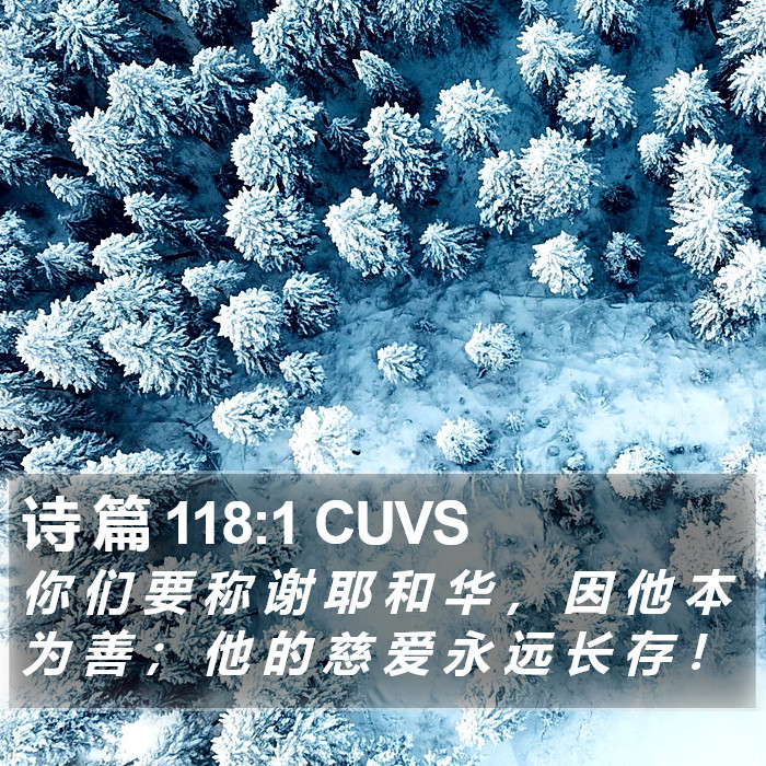 诗 篇 118:1 CUVS Bible Study