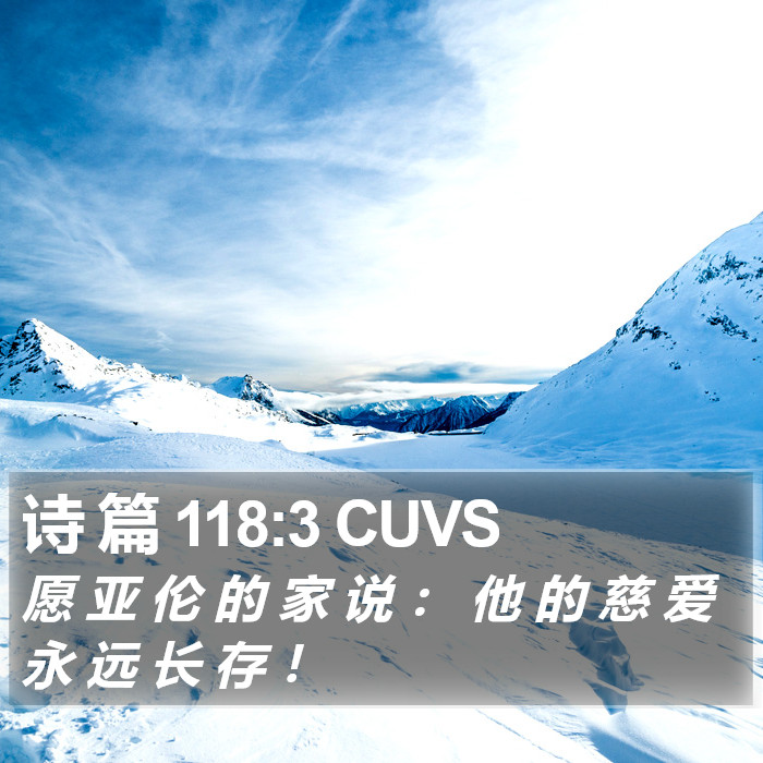 诗 篇 118:3 CUVS Bible Study