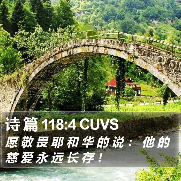 诗 篇 118:4 CUVS Bible Study