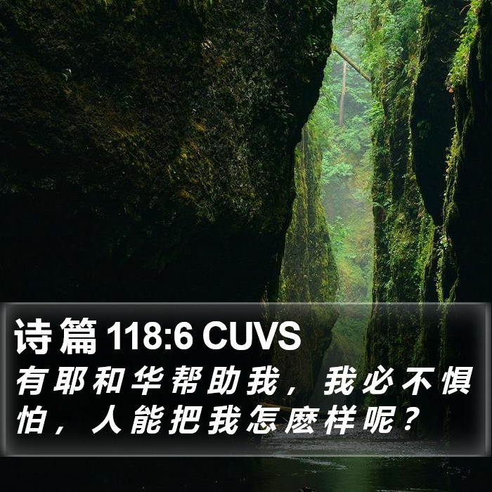 诗 篇 118:6 CUVS Bible Study
