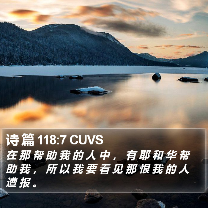 诗 篇 118:7 CUVS Bible Study