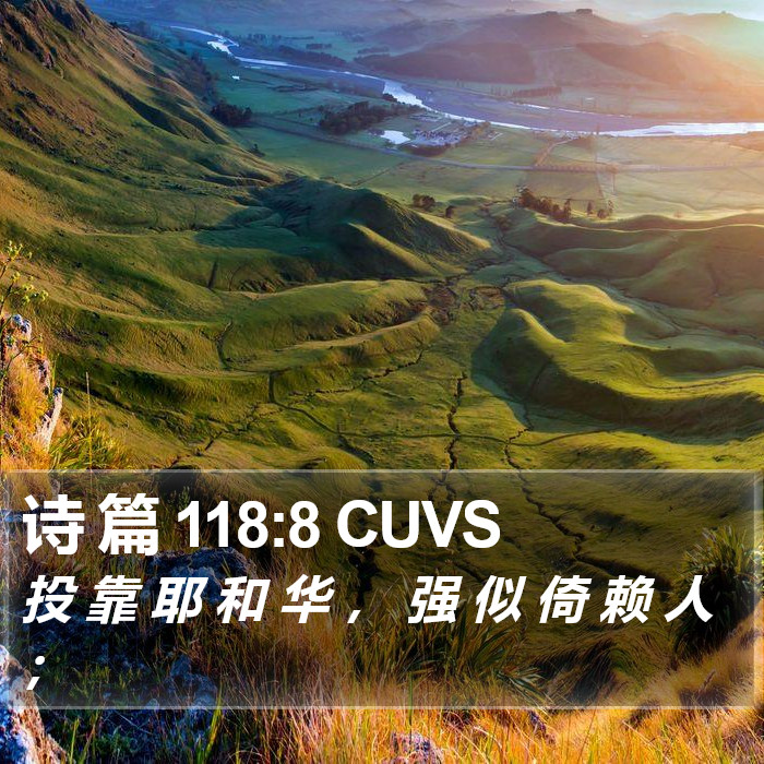 诗 篇 118:8 CUVS Bible Study