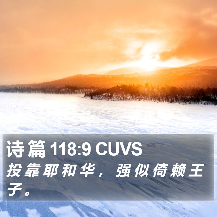 诗 篇 118:9 CUVS Bible Study